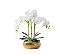 QSYJCCXD Artificial Flower White Phalaenopsis with Golden Vase Fake Silk Wedding Party Bouquet Bridal Home Decor Floral for House Table Office Desk Decor (Color : A)