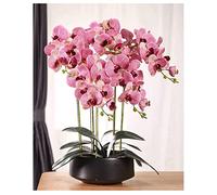 QSYJCCXD Artificial Orchid Phalaenopsis in Pot Artificial Plants Real Touch Bonsai Fake Flower w/Ceramic Vase for Indoor Decoration Living Room Table Centrepiece