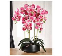 QSYJCCXD Artificial Orchid Phalaenopsis in Pot Artificial Plants Real Touch Bonsai Fake Flower w/Ceramic Vase for Indoor Decoration Living Room Table Centrepiece