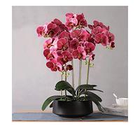 QSYJCCXD Artificial Orchid Phalaenopsis in Pot Artificial Plants Real Touch Bonsai Fake Flower w/Ceramic Vase for Indoor Decoration Living Room Table Centrepiece