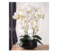 QSYJCCXD Artificial Orchid Phalaenopsis in Pot Artificial Plants Real Touch Bonsai Fake Flower w/Ceramic Vase for Indoor Decoration Living Room Table Centrepiece