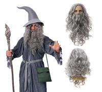 QSZHSL Grey Wizard Wigs and Long Beard Halloween Costume Dark Grey Magician Witcher Wig for Carnival and Hippie Outfit