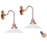QTANZIQI 2 Packs Dimmable Battery Operated Wall Sconce Light with Remote Control Rose Gold Swan Neck Glass Shade Lamps for Bedroom Bedside Hall Study Porch Staircase Aisle and Elegant Lighting