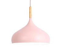 QTANZIQI E27 Screw Ceiling Lighting Fixtures,Nordic Minimalist Style Chandelier,Creative Color Aluminum Hanging Lamp,Front Desk Coffee Shop Dessert Shop Decoration Pendant Light