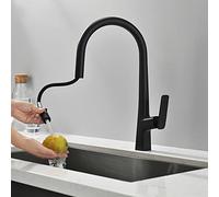 QTANZIQI Kitchen SNK faucets with Pullout Sprayer,Single Handle Sink Faucet, for Hot and Cold Water,Pull Down,Black(Nero)