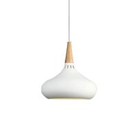 QTANZIQI Nordic-Style Metal Chandelier - Colorful E27 Pendant Lamp for Home Decoration(White,28cm)