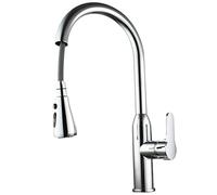 QTHWB Faucets,Kitchen Faucets with Down Sprayer,Hot and Cold Water Mixer Taps, Single Handle Brass High Arc Kitchen Sink Pull Out Faucet,Chrome Thriving