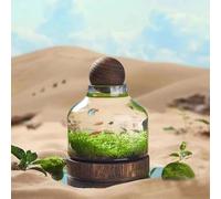 QTQHOME Glass Fish Bowl Terrarium, Clear Micro Landscape Self-circulating Aquarium with Wood Base Ball Lid, Interior Desktop Small Plant Tank Ornaments(24x17cm/9.4x6.7in, Clear)