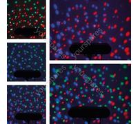 QTX PAR-T Bar: LED Party Bar and Stand Kit
