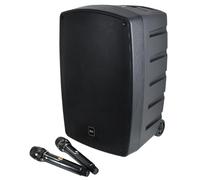 QTX Performer 12" Portable PA System with Wireless Microphones, Rechargeable Battery, Bluetooth, USB/SD Playback, Professional PA & Stage Speaker for DJs, Singers & Outdoor Events