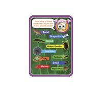 Qty 4 - Early Years How Many Pond Creatures Sign