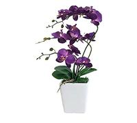 QTYQWC 15" Artificial Phalaenopsis w/Porcelain Vase Indoor Silk Orchid Fake Plants in Pot Faux Flowers Arrangements for Living Room Table Centerpieces Home Decor