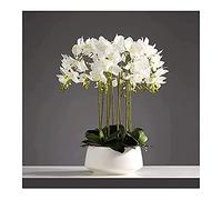QTYQWC 3/6/10 Heads Artificial Orchids Plants in White Pot for Decoration Real Touch Fake Phalaenopsis Bonsai Table Arrangements for Home/parlous/Wedding Party