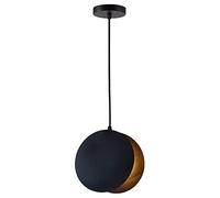 QTYQWC American Modern Small Pendant Light Fixtures Creative Round Single Head Hanging Lighting for Dining Room, Bedroom, Adjustable Lighting Fixtures Ceiling Yearn for (1 18 * 18cm)