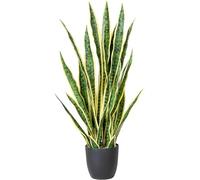 QTYQWC Exotic Dried Flower Bouquet 27" Artificial Snake Plant, Green Sansevieria with Pot for Indoor Home Office Decoration(Yellow)