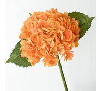 QTYQWC Set of 5 3D Lifelike Hydrangea Flowers Real Touch Artificial Hydrangea Fake Flowers Gift for Home Party Decoration Wedding Arrangement