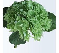 QTYQWC Set of 5 3D Lifelike Hydrangea Flowers Real Touch Artificial Hydrangea Fake Flowers Gift for Home Party Decoration Wedding Arrangement