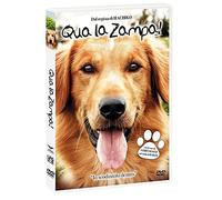 qua la zampa DVD Italian Import