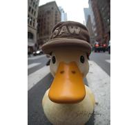 Quacks in the City: A glossy-finish blank lined journal for all your thoughts, notes and tasks