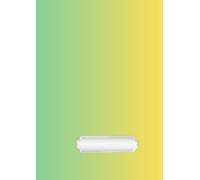 Quaderno per le Medie e Superiori, 80 Pagine, Formato A4, Rigatura Larga - Confezione da 10 Pezzi con Copertine Assortite: Quaderni scolastici con ... - Per studenti di scuola media e superiore