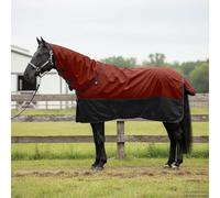 QUAHEAS Horse Blanket Dark Green Black 75 cm Polyester Waterproof Windproof Breathable with Adjustable Closure for Stable Pasture Outdoor Transition and Equestrian Protection