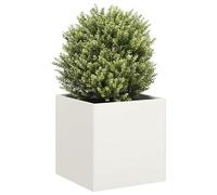 QUAHEAS Plant Pot White Cold-Rolled Steel 40 x 40 x 40 cm with Open Base and Drainage Ideal for Garden, Balcony, Patio and Indoor for Stylish Planting and Herb Breeding
