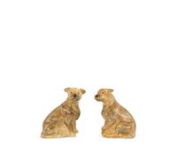 Quail Ceramics Border Terrier salt and pepper shakers (set of two) - Brown One Size