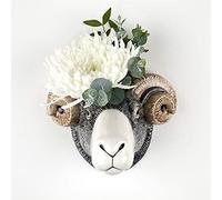 Quail Ceramics - Swaledale Ram Wall Vase