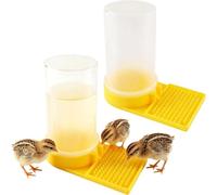Quail Drinker | 2 Pièces Chick Feeder And Waterer | Leakproof Large Capacity Poultry Feeding Container | Large Capacity Clear Feeders For Geese, Ducks, Chicks, Turkeys