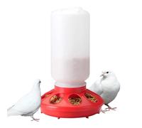 Quail Feeder | No Waste Automatic Poultry Food Dispenser,Efficient Detachable Feeding Equipment, Chicken Food Container Coop Accessories for Farm, Poultry House