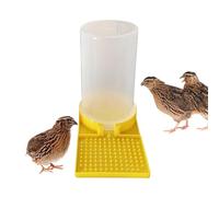 Quail Waterer - No Waste Leakproof Large Capacity Clear Feeder, Feeder Dispenser For Geese, Ducks, Chickens, Chicks, Turkeys, And Rabbits