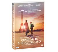 Qualcosa Di Meraviglioso (DVD) Assad Ahmed G Isabelle Nanty (US IMPORT)