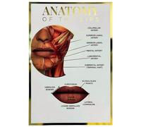 Qualiprint Lip Anatomy Poster - 400GSM, 42cm x 29.7cm | Gold Foil Silk Finished Human Anatomy Wall Art for Salon Decor, Classroom Learning & Aesthetics Clinic | Unframed