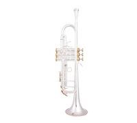 Quality Bb Trumpet Brass Musical Instruments Silver Plated Bb Trumpet With Mouthpiece Gloves Case (Color : 01)