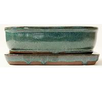 Quality Bonsai Pots with matching drip trays - ideal for first repot from a 15cm Blue pot Green rectangle with rounded corners