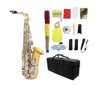 Quality Brass Eb E-Flat Alto Saxophone Sax Glossy Engraved Wind Instrument With Hardshell Case