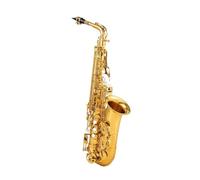 Quality Eb Alto Saxophone Brass Lacquered Gold E Flat Sax Musical Woodwind Instrument With Case Mouthpiece Accessories (Color : 01)
