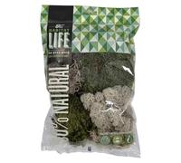 Quality Growers - The Habitat Life - Natural Variety Pack - Mix of Reindeer, Mood, Sheet & Spanish Moss - for All Terrariums - Humidity Control - Breathable Bedding - Dye-Free & Safe - Small - 1 Pack