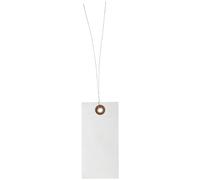 Quality Park G13043 Tyvek Spunbonded Olefin Pre-Wired Shipping Tag, 4-1/4" Length x 2-1/8" Width, White (Case of 1000)
