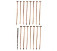 Qualoramall Tree Killer Nails 4Inch Copper Nail Tree Stump Killer Professional Trees Killers Copper Nail Plant Stump Removal Nails Stumps Killers Spike for Garden Landscaping Killing Trees (15Pcs)