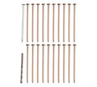 Qualoramall Tree Killer Nails 4Inch Copper Nail Tree Stump Killer Professional Trees Killers Copper Nail Plant Stump Removal Nails Stumps Killers Spike for Garden Landscaping Killing Trees (20Pcs)