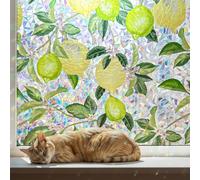 Qualsen Rainbow Window Film Privacy Film for Glass Windows Lemon Tree Pattern Stained Glass Window Film Self Adhesive Anti UV Static Cling Decorative Window Vinyl for Home 44.3x200cm