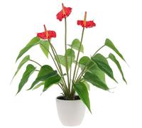 Quancru 16.5 Inch Realistic Artificial Anthurium Flower Red Fake Flamingo Flower Simulated Andraeanum Plant Pot Decoration Table Photography Bonsai