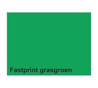 Quantore Copier Paper A4 Grass Green 160g FSC Eco Friendly