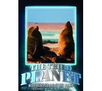 QUANTUM LEAP - Third Planet Wolfpacks Seals of the Namib - DVD - K600z