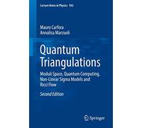 Quantum Triangulations: Moduli Space, Quantum Computing, Non-Linear Sigma Models and Ricci Flow: 942 (Lecture Notes in Physics, 942)