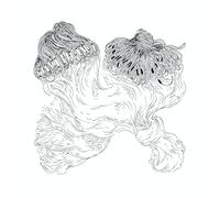 QUARTABE - LIO 2: DORIVAL