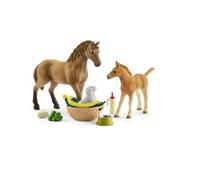 Quarter Horse Grooming Set + Foal Figurine