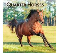 Quarter Horses Calendar 2027, Wall Calendars, Month To View, Animals, Gift