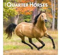 Quarter Horses - Quarter Horse 2026 - 16-Monatskalender: Original BrownTrout-Kalender [Mehrsprachig] [Kalender]